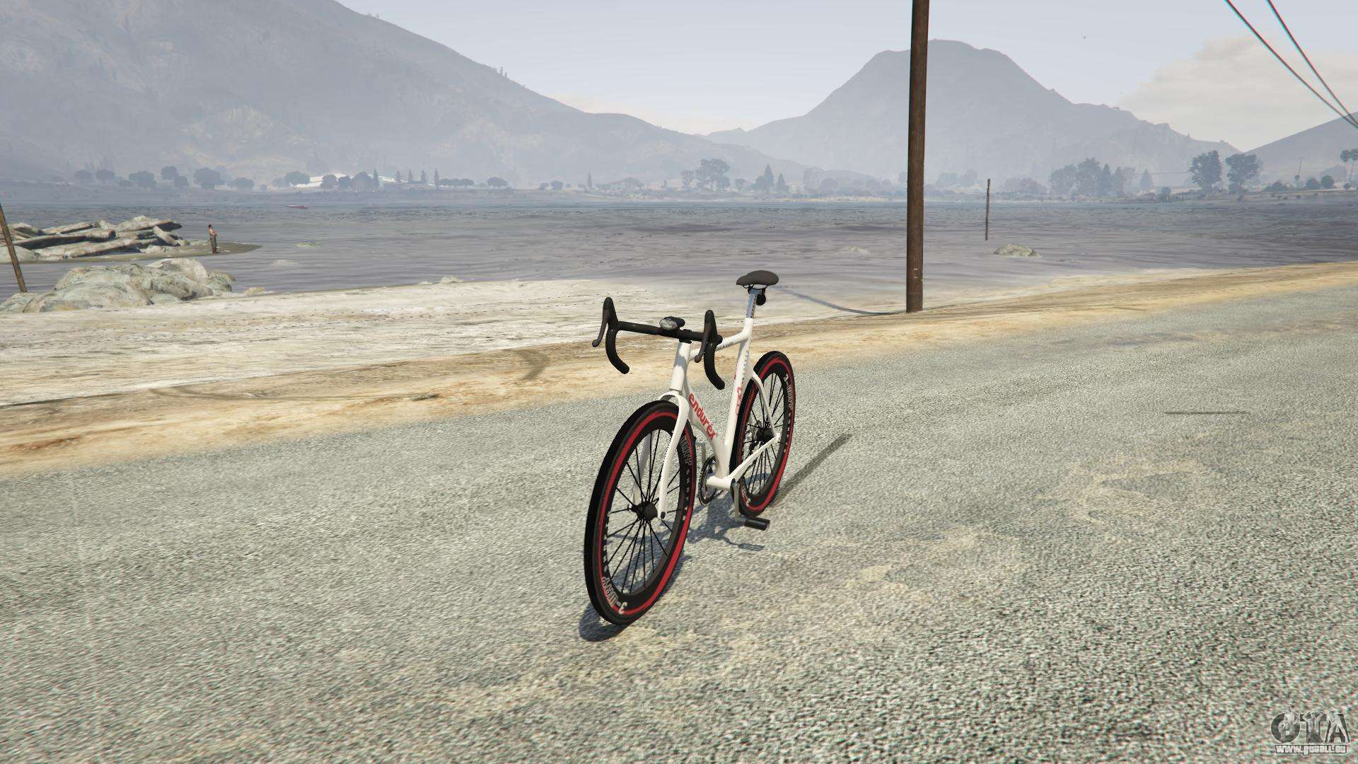 Endurex Race Bike aus GTA 5