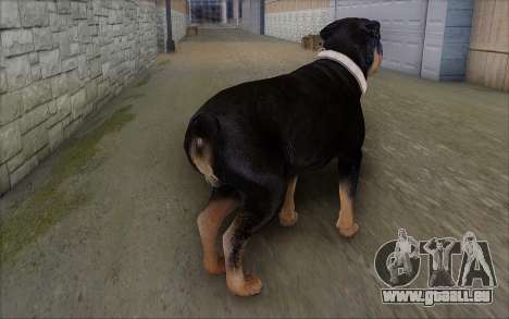 Rottweiler from GTA 5 für GTA San Andreas