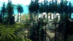 New Vinewood Realistic pour GTA San Andreas