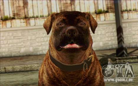 Rottweiler from GTA 5 Skin 1 pour GTA San Andreas
