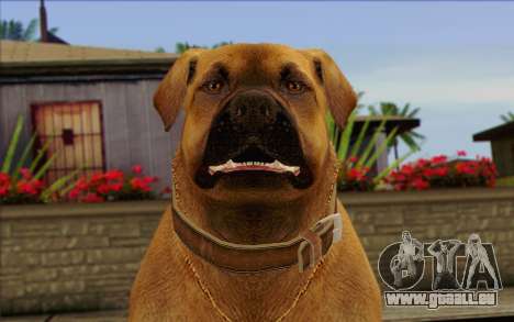 Rottweiler from GTA 5 Skin 2 für GTA San Andreas