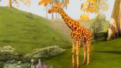 Giraffe (Mammal) pour GTA San Andreas