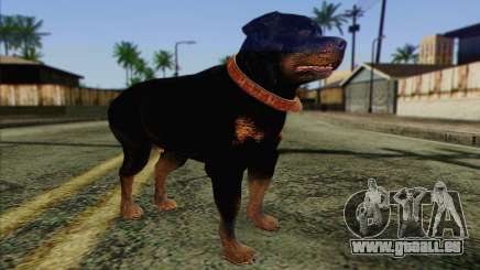 Rottweiler from GTA 5 Skin 3 für GTA San Andreas