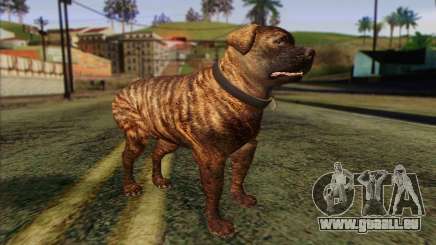 Rottweiler from GTA 5 Skin 1 pour GTA San Andreas