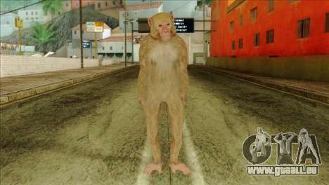 Monkey Skin from GTA 5 v2 für GTA San Andreas