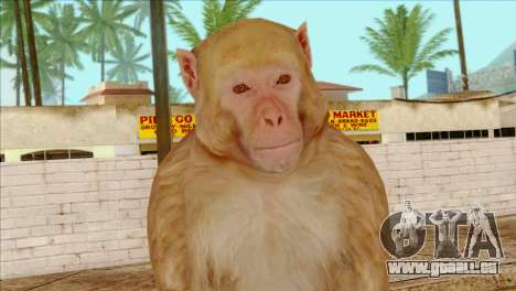 Monkey Skin from GTA 5 v2 für GTA San Andreas