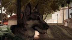 COD Ghosts - Riley Skin pour GTA San Andreas