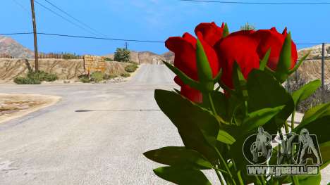 GTA 5 Un bouquet de fleurs