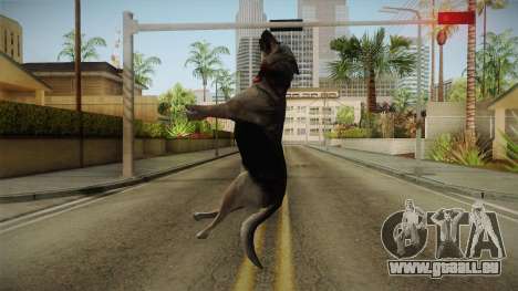 Silent Hill Downpour - DOG SH DP pour GTA San Andreas