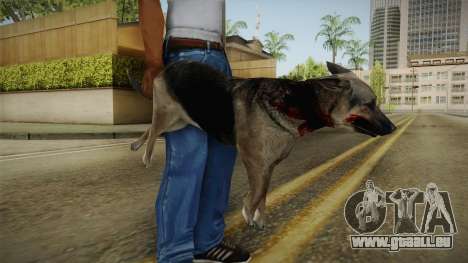 Silent Hill Downpour - DOG SH DP pour GTA San Andreas