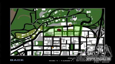 Pro Service für GTA San Andreas