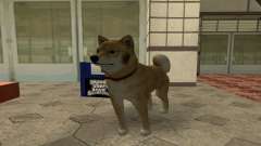 Folgenden Hund (CLEO 4) für GTA San Andreas