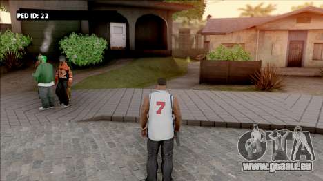 Ped ID Info pour GTA San Andreas