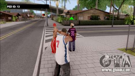 Ped ID Info pour GTA San Andreas