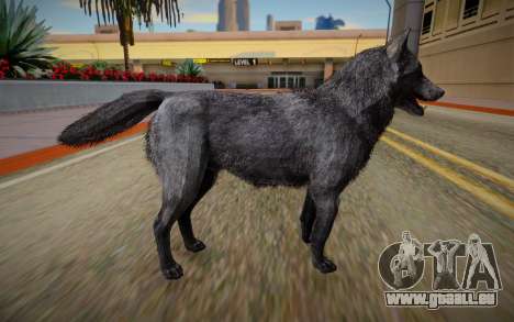Wolf from Call Of Duty: Ghosts für GTA San Andreas
