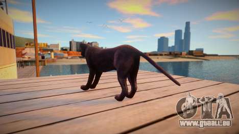 Panther für GTA San Andreas