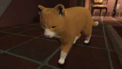 Mogie The House Cat pour GTA 5