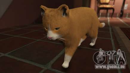 Mogie The House Cat pour GTA 5
