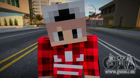 Minecraft Boy Skin 27 für GTA San Andreas