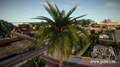 Palm Trees From Definitive Edition pour GTA San Andreas