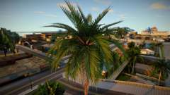 Palm Trees From Definitive Edition pour GTA San Andreas
