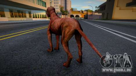 Hund von S.T.A.L.K.E.R. v5 für GTA San Andreas