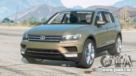 Volkswagen Tiguan TSI 2017〡Add-on