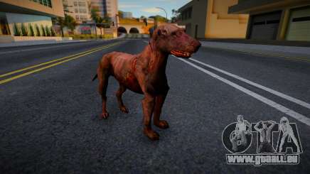 Chien de S.T.A.L.K.E.R. v5 pour GTA San Andreas