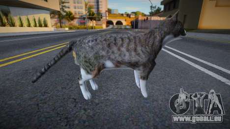 Graue Katze für GTA San Andreas