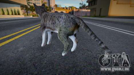 Graue Katze für GTA San Andreas