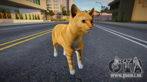 Rote Katze für GTA San Andreas