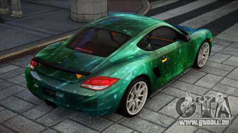 Porsche Cayman R S6 für GTA 4