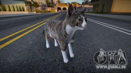 Chat gris pour GTA San Andreas