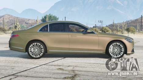 Mercedes-Benz S 500 Lang (V223) 2020〡add-on