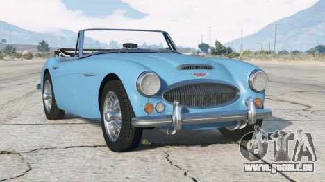 Austin-Healey 3000 (MkIII) 1965〡Add-on