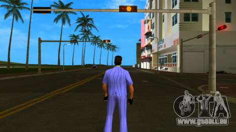 The Baseball Furie für GTA Vice City