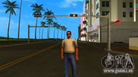 HD Hmyri pour GTA Vice City