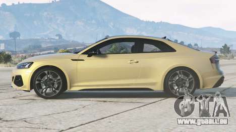 Audi RS 5 Coupe (B9) 2020〡Anbau