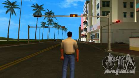 HD Hmyri pour GTA Vice City