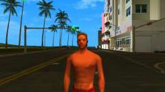 HD Wmylg für GTA Vice City