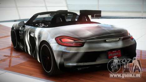 Porsche Boxster GT-S RS S9 für GTA 4