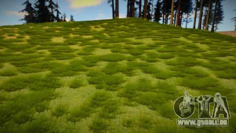 Next Gen Grass Low Version pour GTA San Andreas