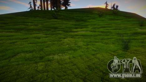 Next Gen Grass Low Version pour GTA San Andreas