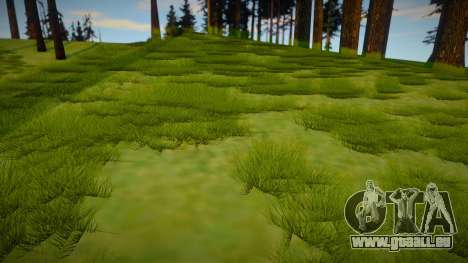 Next Gen Grass Low Version pour GTA San Andreas