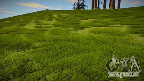 Next Gen Grass Low Version pour GTA San Andreas