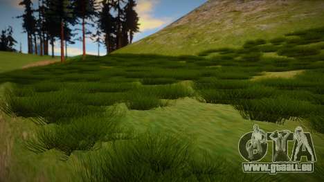 Next Gen Grass Low Version pour GTA San Andreas