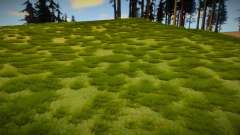 Next Gen Grass Low Version pour GTA San Andreas