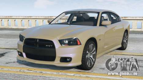 Dodge Charger SRT Khaki