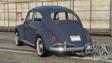 Volkswagen Beetle Blue Bayoux