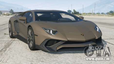 Lamborghini Aventador Soya Bean